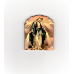 مغناطيس صورة العذراء ام النعم 